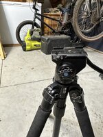 IMG_7921.jpeg