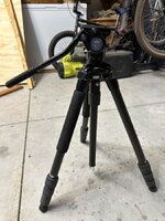 IMG_7919.jpeg