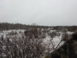 DSCN7445.JPG