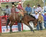 thumbnail_IMG_5560%20Ranch%20bronc%20enh%20cropped[1].jpg