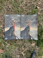 IMG_8117.jpeg