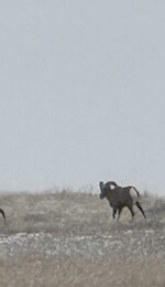IMG_0897.jpeg