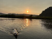 IMG_7576.jpeg