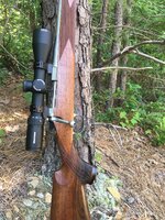 IMG_5018.jpeg