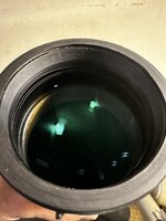IMG_2303.jpeg