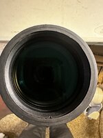 IMG_2304.jpeg