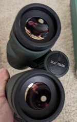PXL_20240408_011750041.MP.jpg