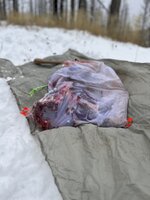 IMG_6969.jpeg