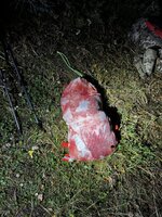 IMG_6911.jpeg