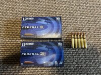 IMG_2934.jpeg