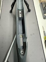 IMG_1981.jpeg