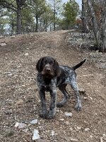 IMG_2423.jpeg