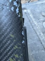 IMG_8080.jpeg