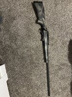 IMG_4316.jpeg