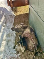 IMG_1388.jpeg