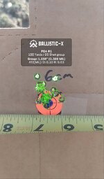 Ballistic-X-Export-2024-04-07 17_38_54.754229.png.jpg