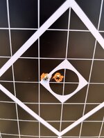 IMG_4816.jpeg