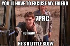 IMG_4071.jpeg