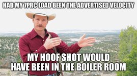 IMG_4073.jpeg