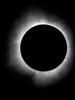 1000064084.jpg
