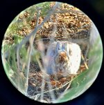 IMG_9721.jpeg
