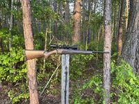 IMG_2831.jpeg