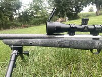 IMG_8307.jpeg