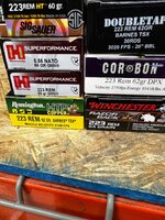 image1.jpeg image1.jpeg