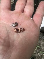 IMG_9261.jpeg