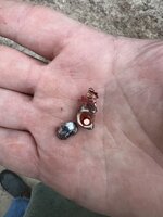 IMG_9264.jpeg