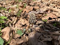 IMG_9289.jpeg