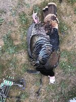 IMG_0239.jpeg