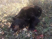 IMG_3089.jpeg