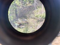 IMG_4603.jpeg IMG_4603.jpeg