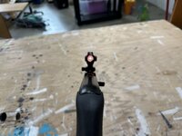 IMG_8447.jpeg