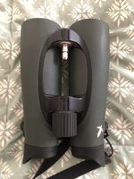 IMG_3313.jpeg