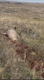 IMG_7232.jpeg