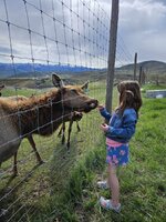 Messenger_creation_f1ac76f4-b742-4af5-936e-7e357cd2cc7f.jpeg