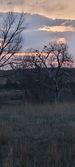20240415_063644.jpg