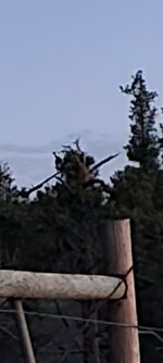 20240414_053528.jpg