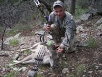 CouesDeer.jpeg