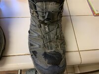 IMG_4252 (Medium).JPG IMG_4252 (Medium).JPG