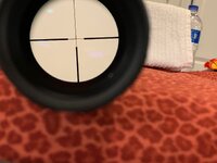 IMG_8499.jpg