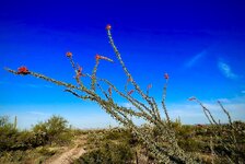IMG_7137.jpeg