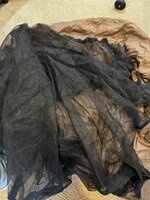 IMG_4409.jpeg