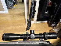 IMG_2733.jpeg