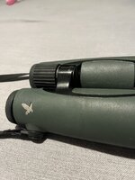 IMG_6616.jpeg
