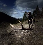 IMG_0548.jpeg