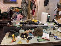IMG_9257.jpeg
