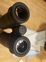 IMG_4411.jpeg